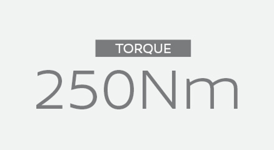 Nissan Qashqai Torque 250Nm
